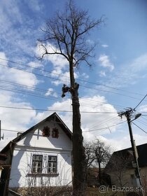 Pílenie, výrub a orezávaníe stromov - 10