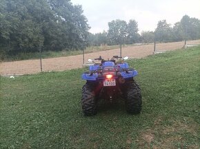 Yamaha grizzly 660 - 10