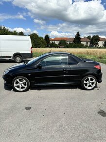 Peugeot 206 - 10