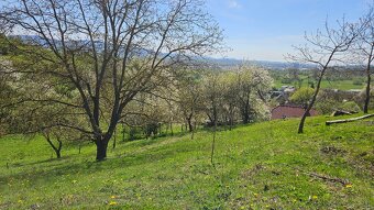 STAVEBNÝ POZEMOK PRE RD - ulica Surdok, časť Kúty, Prešov - 10