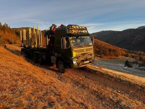 VOLVO FMX 540,LESOVOZ - 10