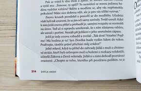 VEĽKÁ DETSKÁ BIBLIA - 10