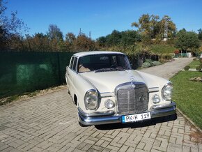 Mercedes  230 heckflosse - 10