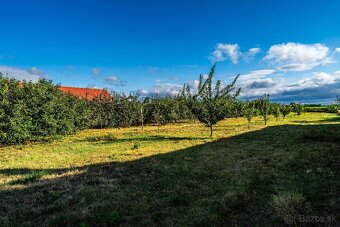 Na predaj stavebný pozemok 2745m2  s ovocným sadom, Málaš - 10