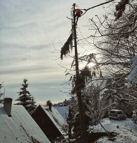 Výrub stromov, Spiľovanie po častiach, Výškové práce - 10