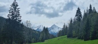 Predáme rekreačnú chatu v prírodnej rezervácii Jezersko - 10