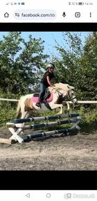 ❤ Pony S kobylka 122 cm ❤ - 10