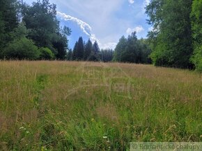 Väčší pozemok v horách nad Lazmi pod Makytou - Čertov - 10