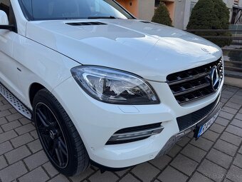 Mercedes Benz ML250 4MATIC - 10