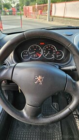 Peugeot 206 sport - 10