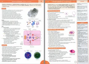 učebnice anatómie - medicína - 10