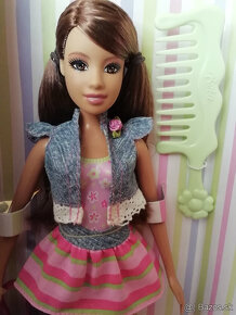 Barbie s copikmi, kniha Barbie - 10