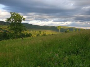 Rozprávková usadlosť na samote 64 356m2 - 10