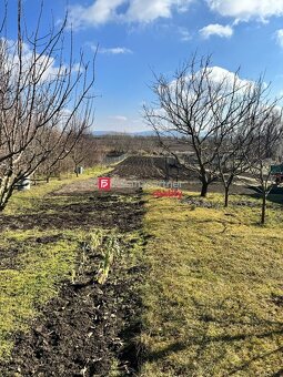 Štýlový vidiecky dom na predaj, 14km od mesta Piešťany - 10