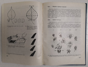 ŠLECHTĚNÍ ROSTLIN 1982 - 10