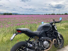 Ducati Monster 821 - 10