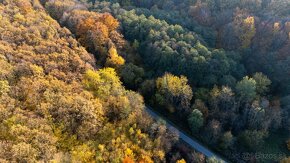 Kamenné (Košice) - 1.772 m2 LES v podiele 1/1 – NA PREDAJ - 10