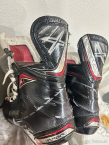 ✅ KORČULE BAUER VAPOR 1X - 10,5 D - 46-46,5 EU - 28,9 CM ✅ - 10