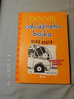 Denník odvážneho bojka - 10