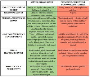 Bostonský teriér s PP - odběr březen 2025 - 10