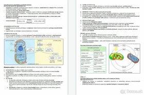 Maturitné zadania z BIOLÓGIE (30 zadaní) - 10