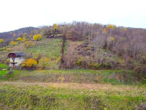 Širkovce - 2.000 m2 Pozemok na CHATU / VINICU - 10