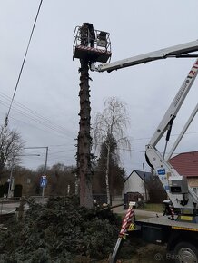 Rizikové pilenie stromov arboristika - 10