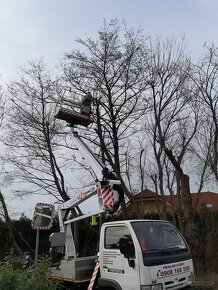 Pílenie stromov záhradníckej služby - 10