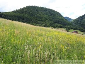 VÄČŠÍ POZEMOK S VÝHĽADOM NAD OBCOU ZÁSKALIE PRI POVAŽSKEJ - 10