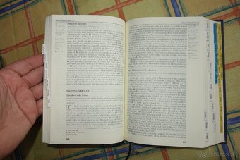 Biblia ekumenická - CZ - 10