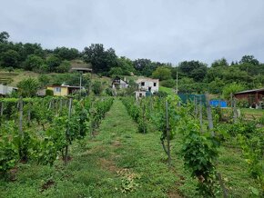 Predaj chaty vo vinárskej oblasti v Šahách, okres Levice - 10