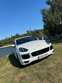 Porsche Cayenne PLATINUM EDITION - 10