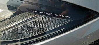 Jaguár i pace - 10