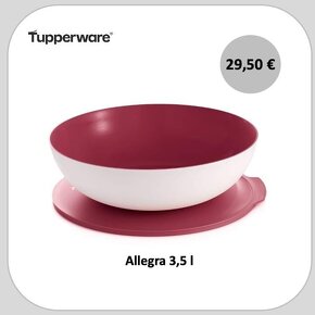 Misky Allegra Tupperware - 10