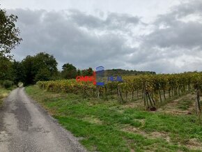 Obrábaný vinohrad možno aj na rekreačné účely Pod Holerungov - 10