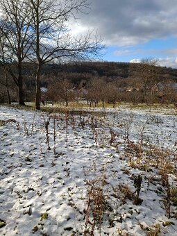 Stavebný pozemok 5124 m2 v Maďarsku 10 min od Kechneca - 10