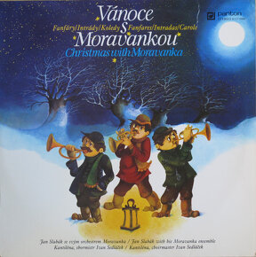 VIANOCNE LP PLATNE - 10