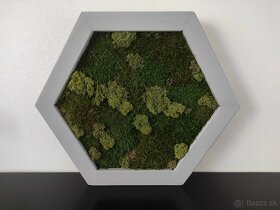 Predám obraz z machu: Hexagon šedý M (50 x 45 cm) - 10