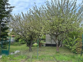 Predám záhradu s murovanou chatkou v lokalite Košice – Sever - 10
