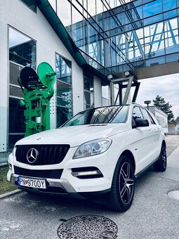 Mercedes ML 250 4matic - 10