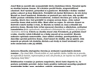 Vypracované maturitné otázky zo Slovenského jazyka a li - 10