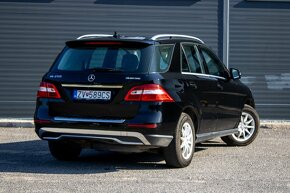 Mercedes-Benz ML 250 BLUETEC 4MATIC - 10