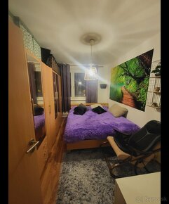 3 izbový byt Krásnohorská - 10