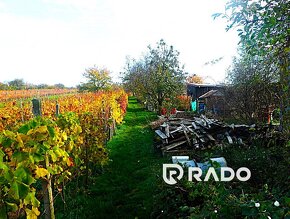 RADO | Vinohradnícky domček s pozemkom v meste Skalica - 10