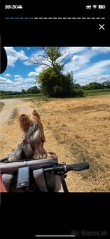 Košík na bicykel pre psa so sieťkou. Taška na bicykel pre ps - 10