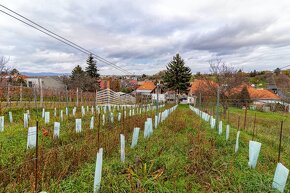 Predaj 8,5 á stavebný pozemok s veľkou pivnicou - Šenkvice - 10