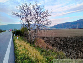 Veľký pozemok pri hlavnej ceste v katastri obce Trenčiansk - 10