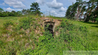 Lesný pozemok 37 000 m2 - 3,7 ha v obci Borský Mikuláš, 60 - 10