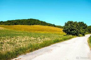 Beckov – 20.000 m2 v celku (Farma, Chov koní...) - 10