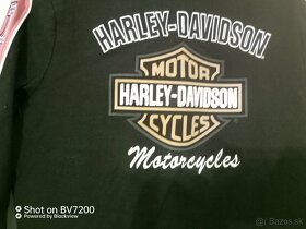 Harley Davidson - 10